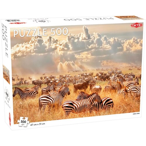 Zebra Herd